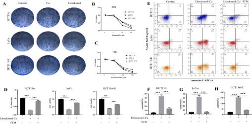 Elesclomol-Cu脉冲处理可抑制细胞活力