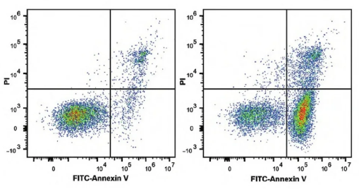 Annexin V/Pl双染法