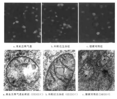 细胞形态学检测法