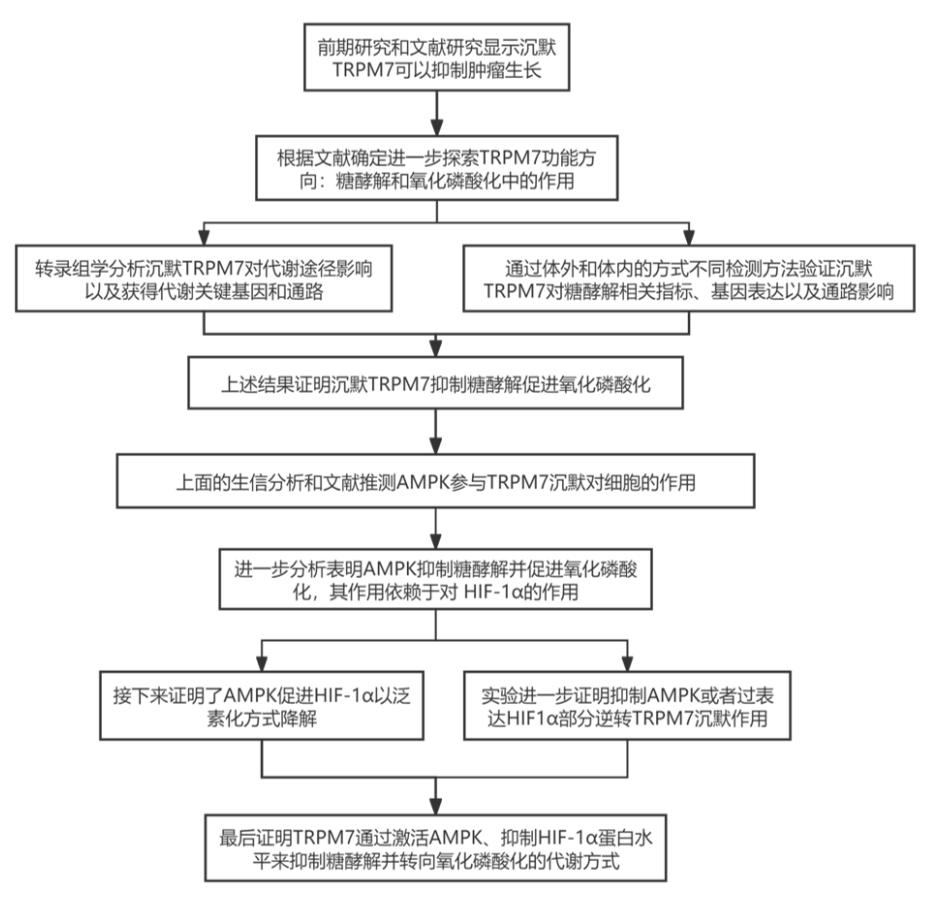 糖代谢重编