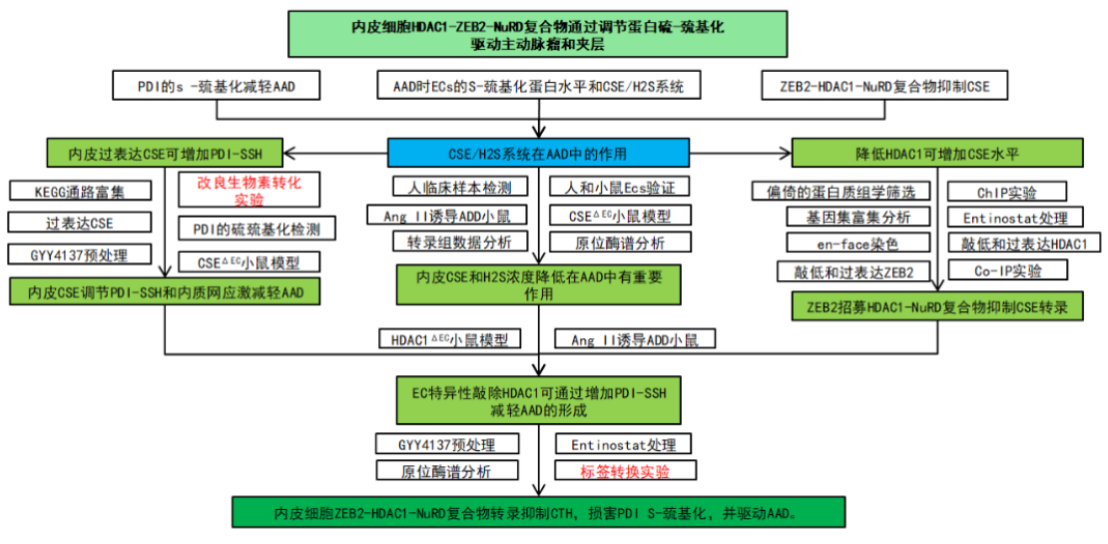 硫巯基化