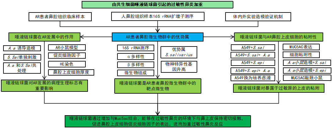 微信图片_20241115150614.png